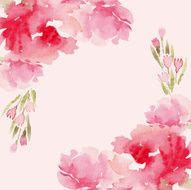 Peonies watercolor N8