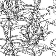 Seamless pattern of beautiful lilies monochrome