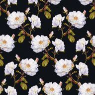 White roses bush botanical watercolor seamless pattern N3