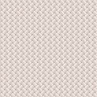 Fabric Texture N8