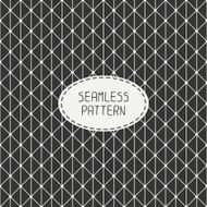 Vector seamless retro vintage geometric hipster line pattern N11
