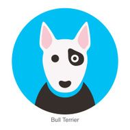 Bull terrier dog face flat icon series