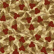 Christmas Pattern N47