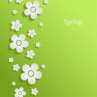 Spring flowers background N4