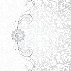 Jewelry and lace N5