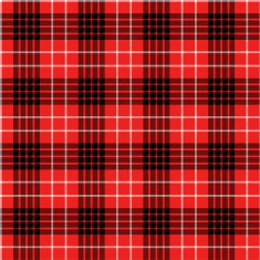 Seamless tartan pattern N49