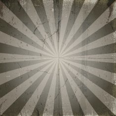 vector grunge sun rays background N2