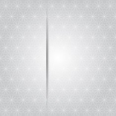 Elegant card or invitation template N6