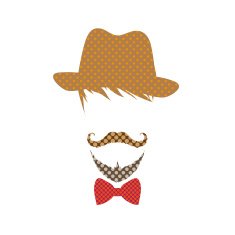 Fashion silhouette hipster style vector illustration N34