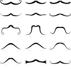 Whiskers silhouette N3