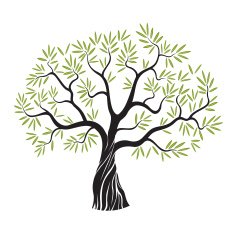 Vector olive tree N2