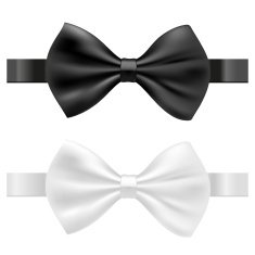 Black And White Bow Tie N2