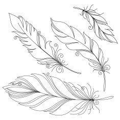Vector Peerless Decorative Feather N22