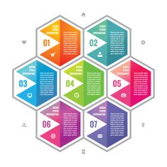 Business infographic concept colored hexagon blocks in flat style design