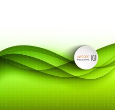 Abstract curved lines background Template brochure design N135