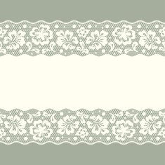 Seamless lace pattern flower vintage vector background N11