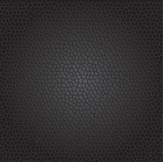 leather texture N2
