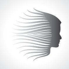 Beautiful fashion lady face N3