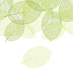 Fresh green leaves background N4