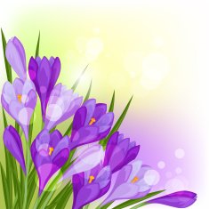 Spring flowers crocus natural background N2