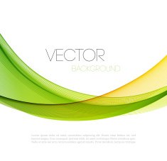 Abstract curved lines background Template brochure design N147