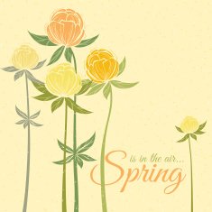 Spring wildflowers N2