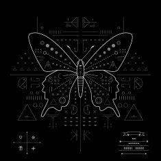 Butterfly Geometric composition on a black background