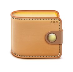 Wallet N10