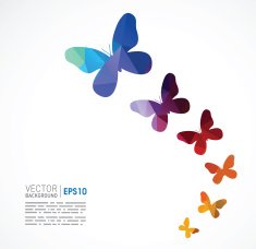 Polygonal Butterfly