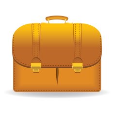 Briefcase N18
