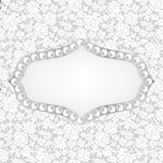 lace fabric background N49