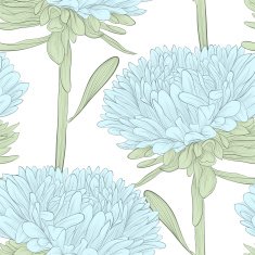 seamless background blue flowers aster on a white background