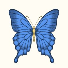 beautiful butterfly in pastel colors graphic style