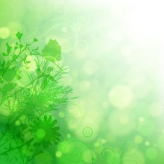 Floral background N558