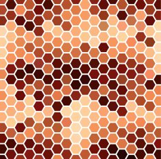 Brown Hexagonal Pattern N2