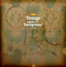 Ornate Pattern Background N4