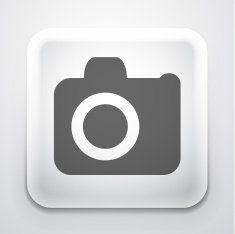 Vector camera button