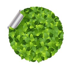 eco friendly label from green leaves Vector illustration