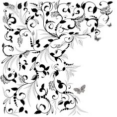Foliate design to postcards N2