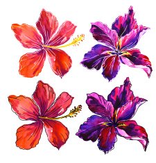 watercolor flower illustration with contour vivid hibiscus and orchid