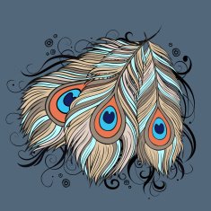 ethnic peacock Feathers