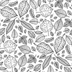 Leaves Seamless vector background N22