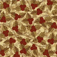 Christmas Pattern N47
