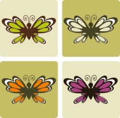 Fashion Butterfly