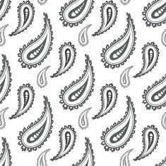 Paisley seamless pattern N56