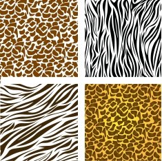 pattern of animal print N9