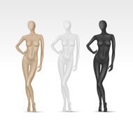 Vector Isolated Female Mannequin N2