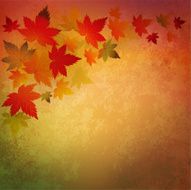 Abstract autumn vintage background N5
