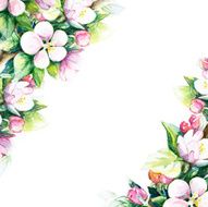 Background with decorative flowers N4