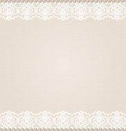 lace floral border N2